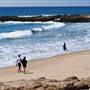 Pescadero State Beach (SB)