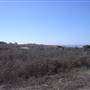 San Gregorio State Beach (SB)