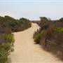 Tijuana Estuary NP Point of Interest /  State Park (SP)