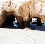 El Matador State Beach @ Robert H. Meyer Memorial State Beach (SB) - CFC