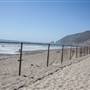 Thornhill Broome State Beach Campground (SB) within Point Mugu