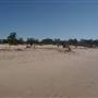 Carpinteria State Beach (SB)