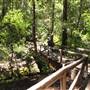 Big Basin Redwoods State Park (SP)