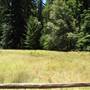 Big Basin Redwoods State Park (SP)