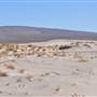 Olancha Sand Dunes - Bureau of Land Management - California Desert District - Ridgecrest Field Office - BLM - Off Highway Vehicle Area - OHV