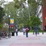 University of Southern California - USC