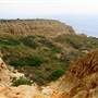 Torrey Pines State Natural Reserve (SNR)