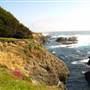 Van Damme State Park (SP) / Beach / Pygmy Forest / Fern Canyon Trail / Spring Ranch Trail
