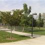 California State University, Northridge - CSUN (All Buildings & Facilities)
