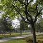 California State University, Northridge - CSUN (All Buildings & Facilities)