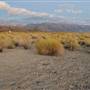 Mono Lake Tufa State Natural Reserve (SNR) / South Tufa Lake - Inyo National Forest (NF)