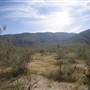 Anza-Borrego Desert State Park (SP)