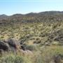Anza-Borrego Desert State Park (SP)
