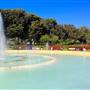 Exposition Park Rose Garden