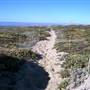 Salinas River State Beach (SB)
