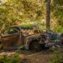 Portola Redwoods State Park (SP)