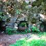 Forest of Nisene Marks State Park (SP), The