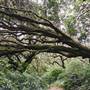 Tomales Bay State Park (SP)