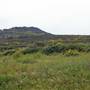 Point Dume Bluffs / Headlands / Big Dume Beach and Pirates Cove Beach @ Point Dume State Preserve - CFC