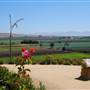 San Juan Bautista State Historic Park (SHP)