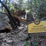 Chumash Painted Cave State Historic Park (SHP)