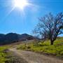 Malibu Creek State Park (SP)