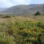 Sand Dollar Beach - Big Sur - Los Padres National Forest