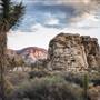 Joshua Tree National Park - NPS