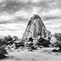 Joshua Tree National Park - NPS