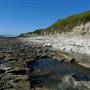 Natural Bridges State Beach (SB)