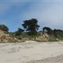 Manresa State Beach (SB)