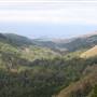 Pfeiffer Big Sur State Park (SP)