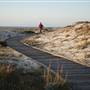 Asilomar State Beach and Conference Grounds