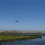 Bolsa Chica Ecological Reserve - California Department of Fish & Wildlife (CDFW)