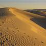 Oceano Dunes State Vehicular Recreation Area (SVRA) / Pismo State Beach (SB)