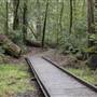 Big Basin Redwoods State Park (SP)