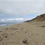 Fort Ord Dunes State Park (SP)