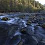 Trinity River