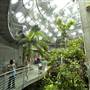 California Academy of Sciences