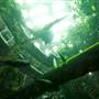 California Academy of Sciences