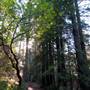 Bothe-Napa Valley State Park (SP)