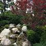Earl Burns Miller Japanese Garden - California State University Long Beach - CSULB
