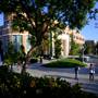 Chapman University