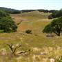 Trione-Annadel State Park (SP)