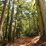 Trione-Annadel State Park (SP)