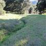 Tapia Park @ Malibu Creek State Park (SP)