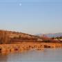 Battle Creek Wildlife Area - California Department of Fish & Wildlife (CDFW)