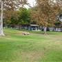 Jesse Brewer Jr. Park at Exposition Park
