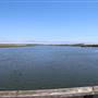 Bolsa Chica Ecological Reserve - California Department of Fish & Wildlife (CDFW)