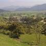 El Campeon Farms - Windy Hill Ranch